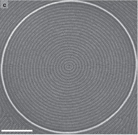 New Papers: “Multilayer block copolymer meshes by orthogonal self-assembly” and “The orientations of large aspect-ratio coiled-coil proteins attached to gold nanostructures”