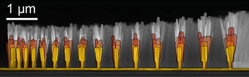 New Paper: “Dimensional Tailoring of Hydrothermally Grown Zinc Oxide Nanowire Arrays”