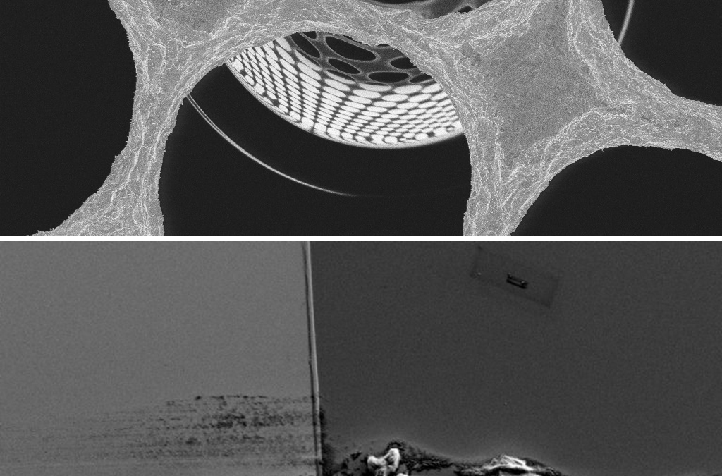 Navid Abedzadeh awarded Best Electron Beam and Emily Toomey, Marco Colangelo and Navid Abedzadeh got an honorable mention at EIPBN Micrograph Contest 2018