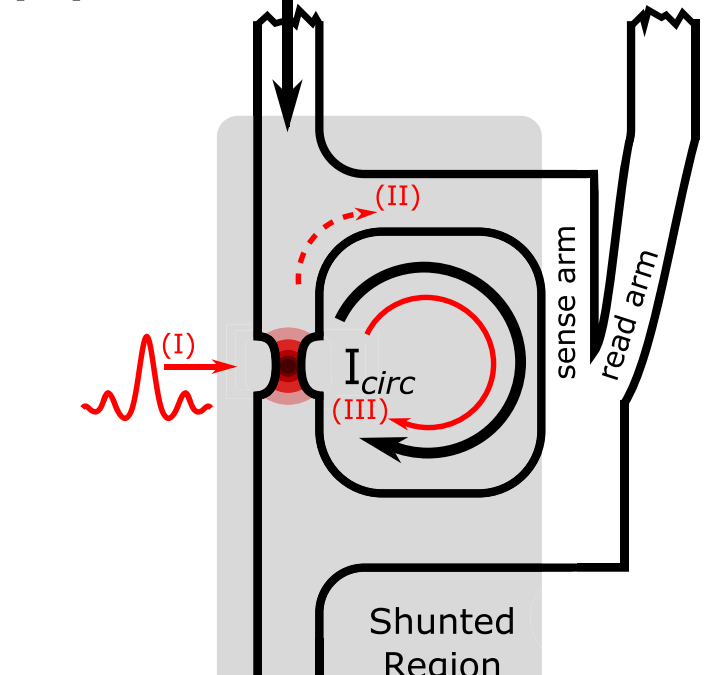 New Publication “Single-Photon Single-Flux Coupled Detectors”