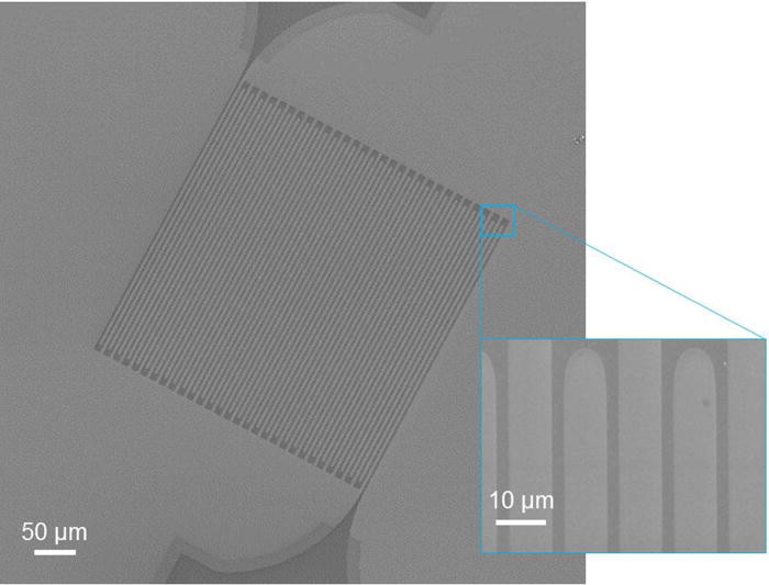 New Publication  “Large-area microwire MoSi single-photon detectors at 1550 nm wavelength”